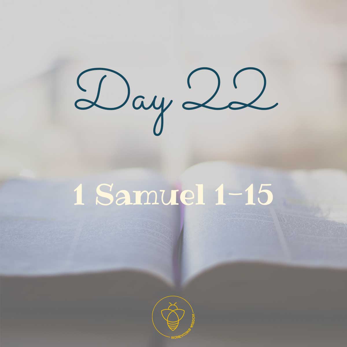 90 days through the bible 1 samuel 1-15