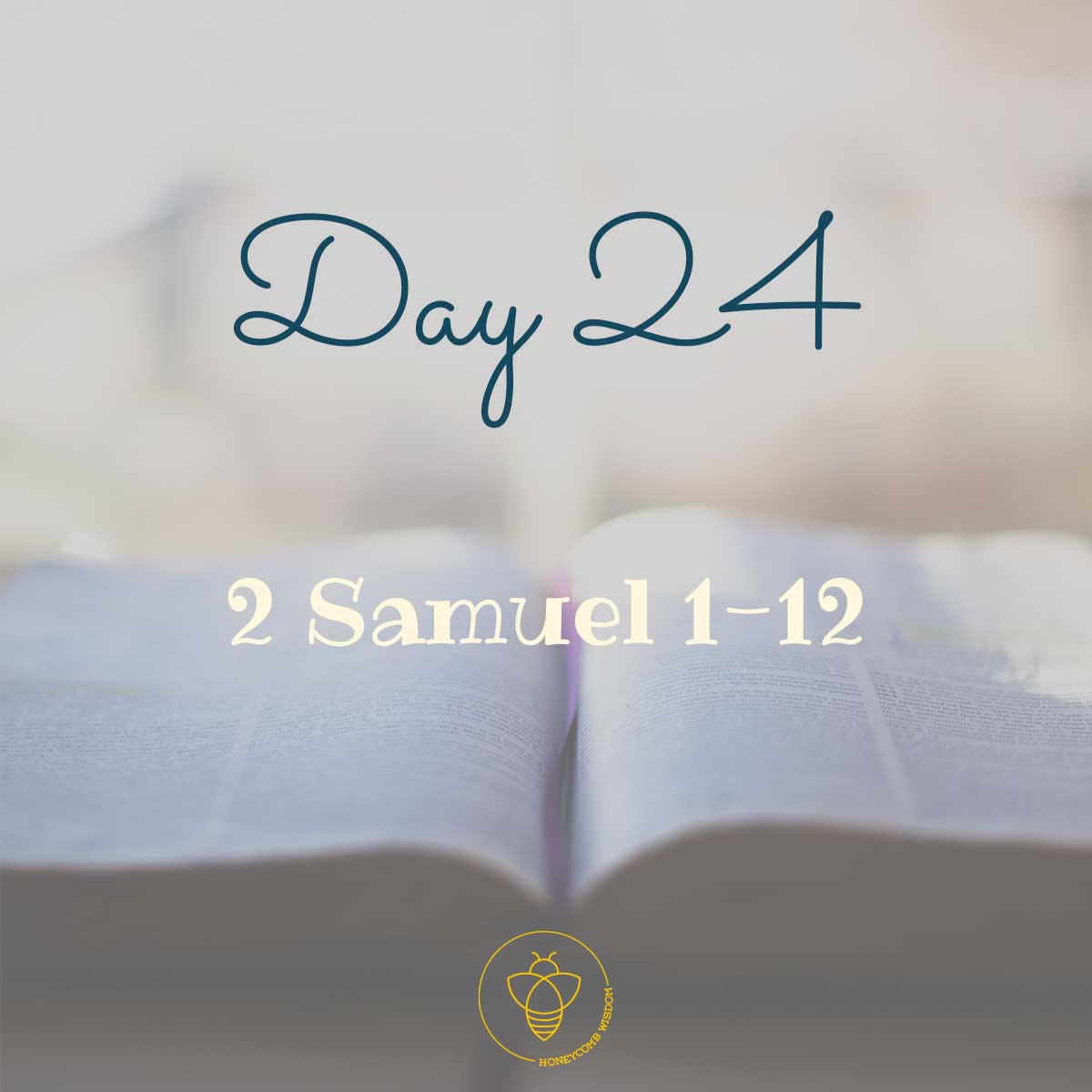 90 days through the bible day 24 2 Samuel 1-12 King David
