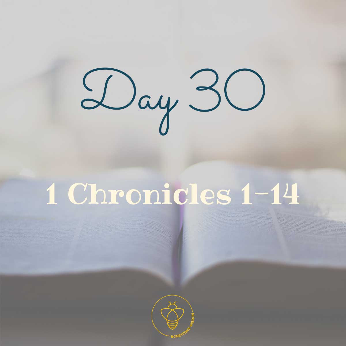 90 days through the bible 1 chronicles 1-14